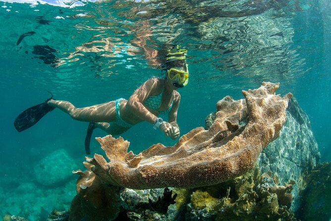 Deluxe Half-Day Snorkel Sail on Lady Grace Luxury Catamaran - Lunch, cocktails, and the luxury claim
