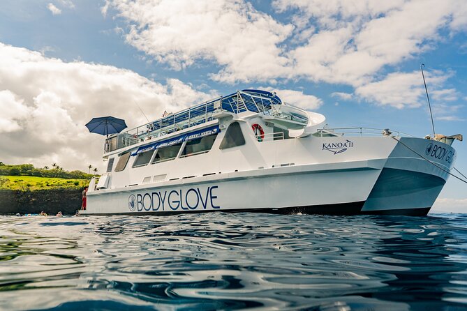 Deluxe Snorkel & Dolphin Watch Aboard a Luxury Catamaran from Kailua-Kona - A Kona Gold Coast cruise with wildlife watching