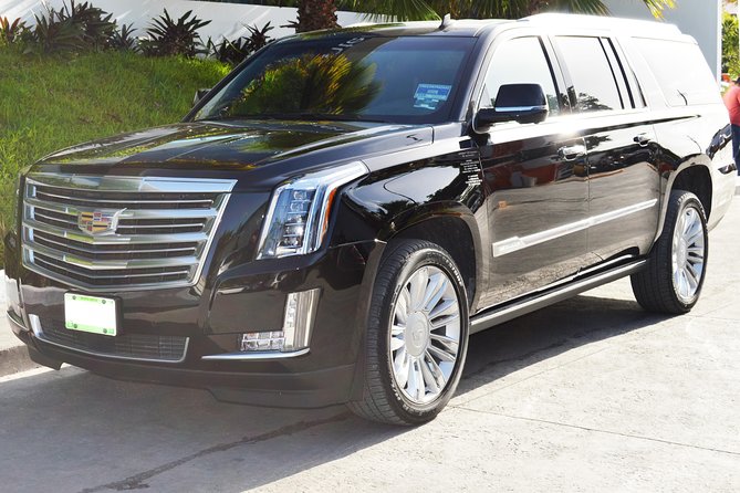 Departure Luxury Transportation: Hotels to Punta Cana International Airport(1-5) - The people behind the wheel
