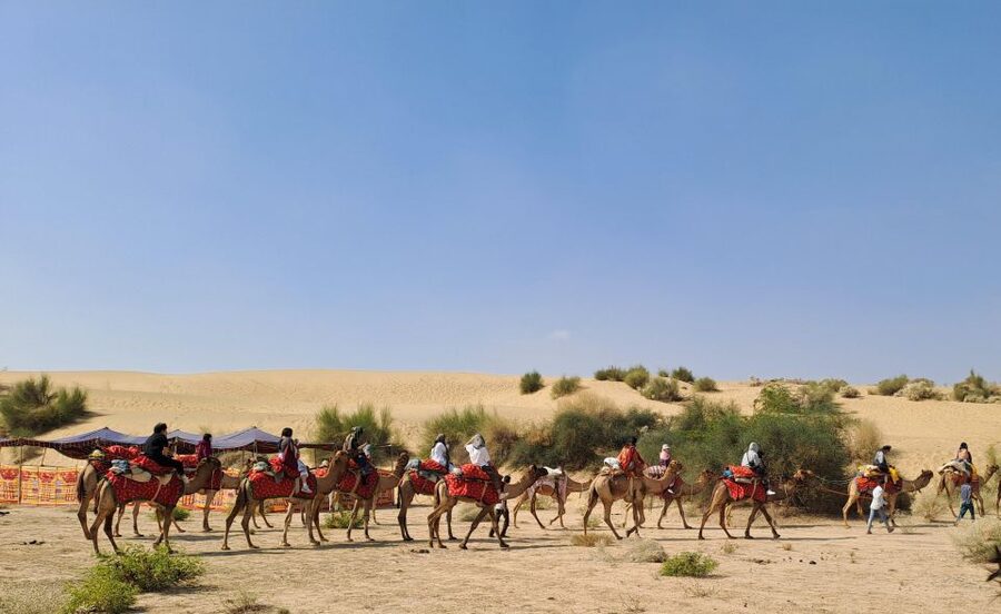 Desert Rose Jaisalmer: Luxury Tent In Thar Desert - Five details that shape the experience