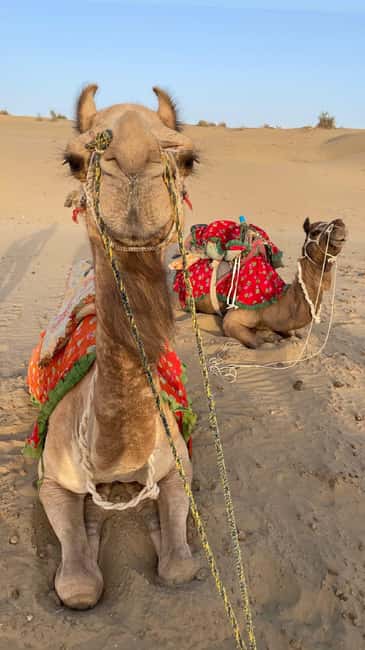 Desert Rose Jaisalmer: Luxury Tent In Thar Desert - Folk music, dinner, and a warm evening