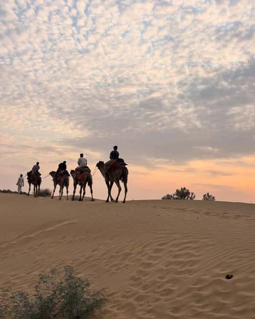 Desert Rose Jaisalmer: Luxury Tent In Thar Desert - Optional night activity under the stars