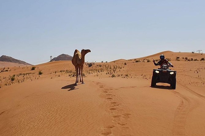 Desert Safari Dubai (PREMIUM VIP) - How the guides shape the day
