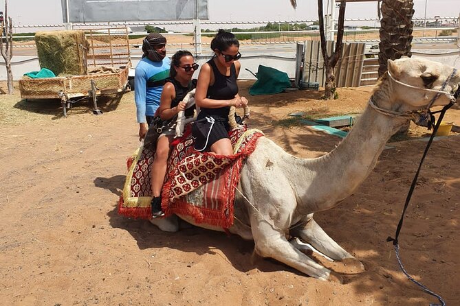 Dubai: All Inclusive Desert Safari with ATV, Camel, Horse ride, Vip & more - Buffet dinner and shows after sunset