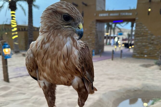Dubai Desert Safari VIP Package - Is $55 a fair price?