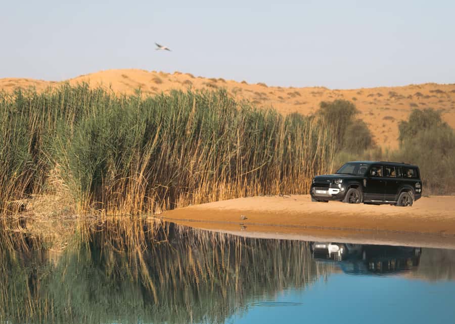 Dubai: Luxury Safari with Michelin-Curated 5-Course Dinner - Falconry at the best hour of the day