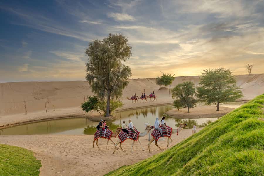 Dubai: Overnight Safari with Luxury Dome Stay & Stargazing - From Dubai to Al Marmoom in 45 minutes