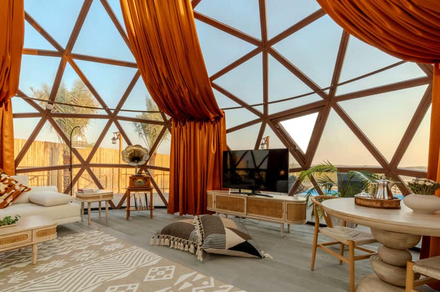 Dubai: Overnight Safari with Luxury Dome Stay & Stargazing - Red dunes, sandboarding, and a little desert wildlife