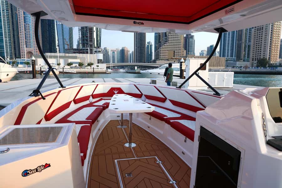 Dubai: Private Luxury Boat with Sightseeing Tour - The one-hour ride: quick views and a lively pace