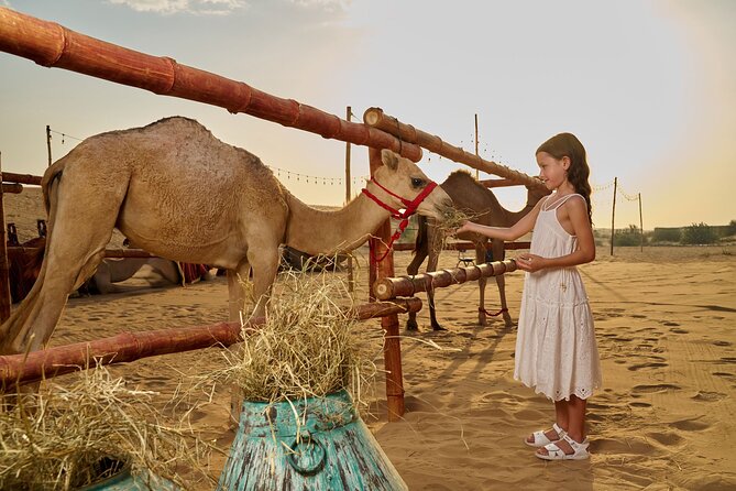 Dubai Private VIP Desert Dinner and Live Entertainment Show - Nine performances keep the camp moving