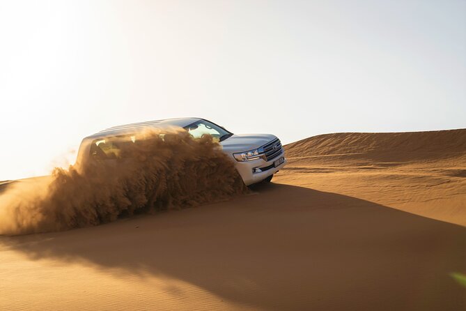 Dubai Red Dunes with Sandboarding, Camel Ride, Falcon & VIP Camp - Sandboarding gives you a second way to use the dunes