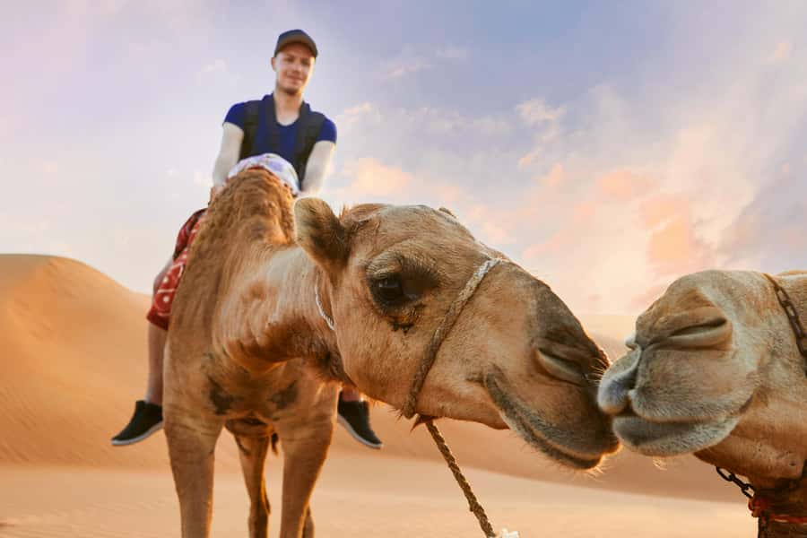 Dubai Waves & Dunes: Luxury Yacht Cruise w/ Red Dunes Safari - Choosing the one-hour or two-hour cruise