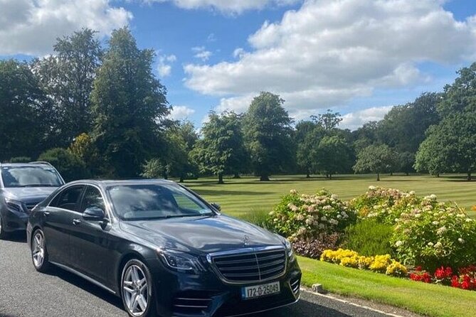 Dublin Airport Transfers: Luxury Transfer To/From DUB Per Vehicle - Families, accessibility, and who should book