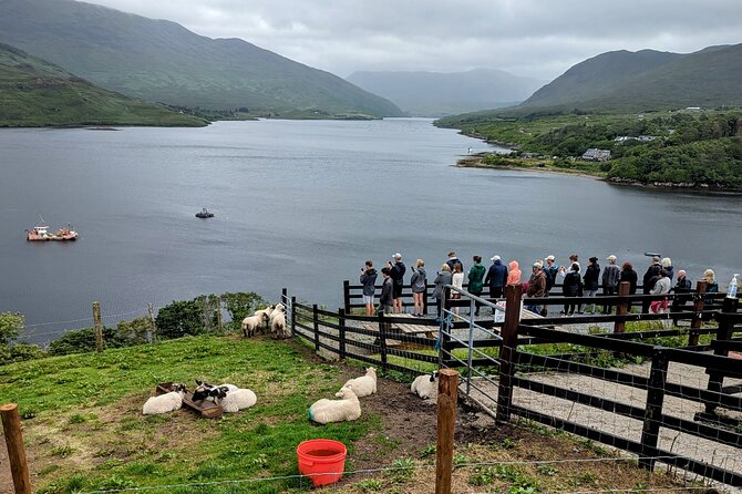Dublin to Cliffs of Moher Private Luxury Day Tour - Across the Burren and along the Wild Atlantic Way