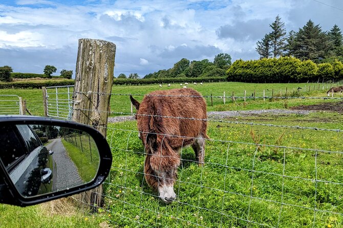 Dublin to Cliffs of Moher Private Luxury Day Tour - Lunch in Liscannor