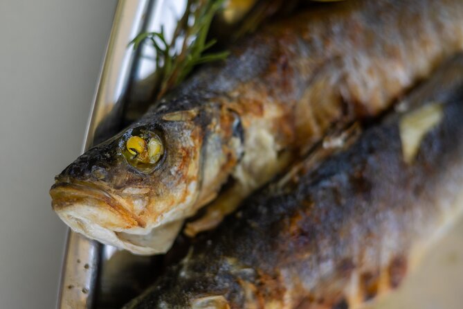 Dubrovnik to Split luxury transfer with 5course LUNCH INCLUDED - Lunch beneath the olive trees on Pelješac
