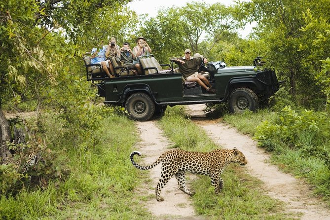 Durban: Big 5 Safari - Open Safari Vehicle at Exclusive Reserve - Why Manyoni makes this Durban safari different