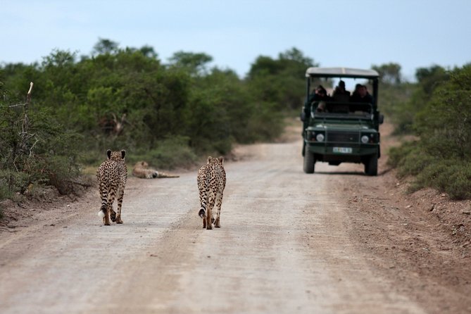 Durban: Big 5 Safari - Open Safari Vehicle at Exclusive Reserve - The long drive: cost or part of the experience?