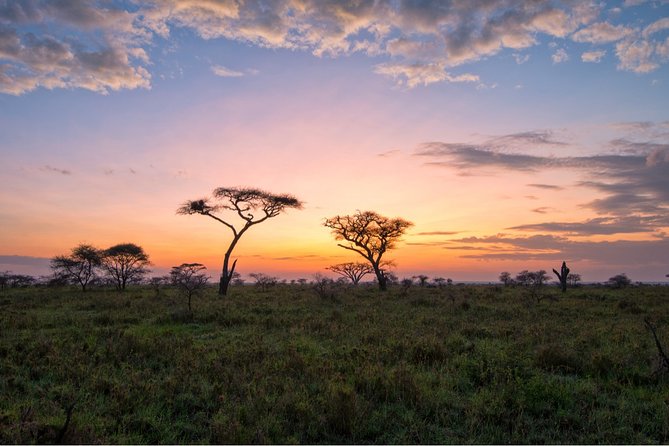 Durban: Big 5 Safari - Open Safari Vehicle at Exclusive Reserve - Who should book this safari?