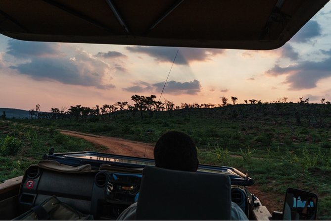 Durban: Big 5 Safari - Open Safari Vehicle at Exclusive Reserve - What the open 4x4 game drive feels like