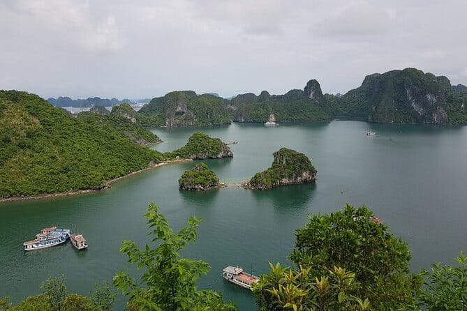 Elite of The Seas - Unique Luxury 3 Days Cruise in Halong & Lan Ha Bay - Cabins, food, and service