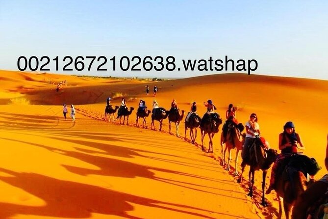 Enjoy 3 Days luxury camp Sandboard from Fes back fes,ou Marakech - Day Two: Sunrise, Khamlia, and the Camel Trail