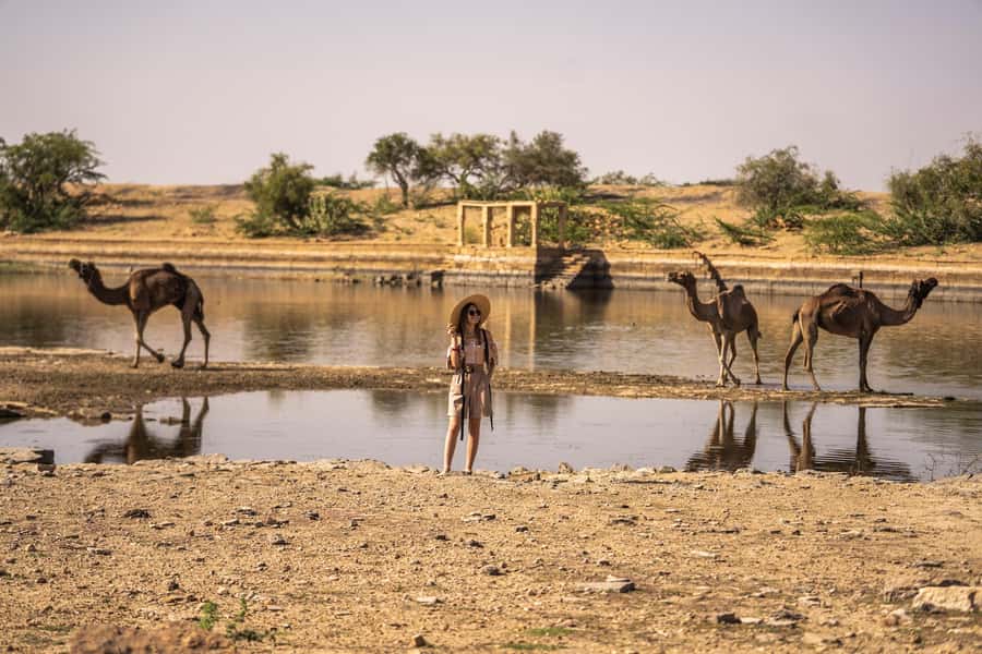 Exclusive Musical Evening at Desert Luxury Camp (NO CAMEL) - Key points at a glance