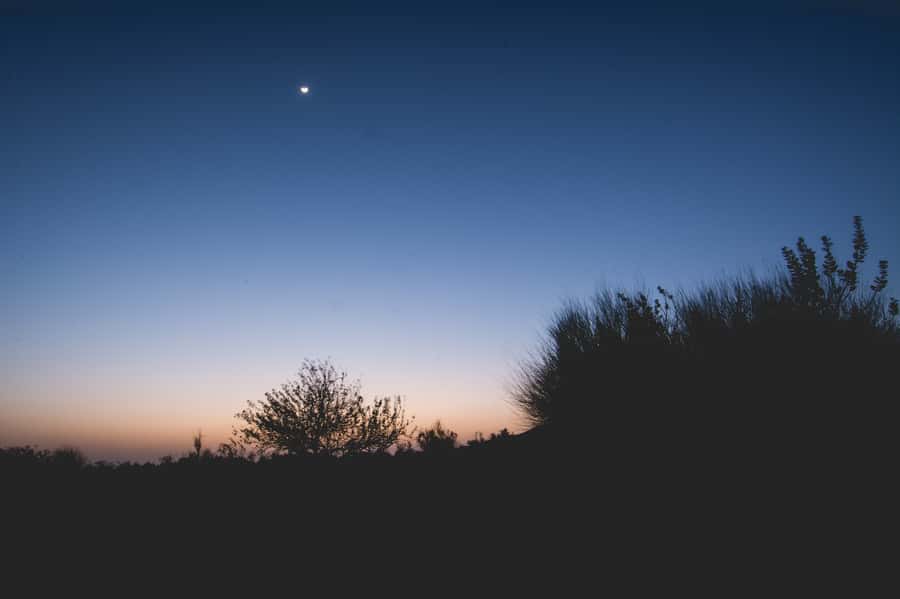 Exclusive Musical Evening at Desert Luxury Camp (NO CAMEL) - Dinner under the camp lights