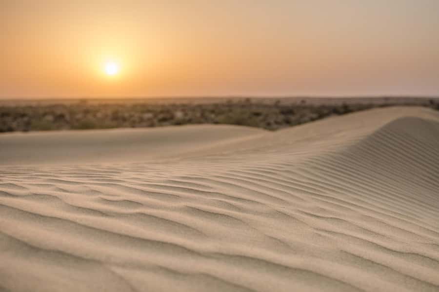 Exclusive Musical Evening at Desert Luxury Camp (NO CAMEL) - Folk music, Sufi songs, and gypsy dance