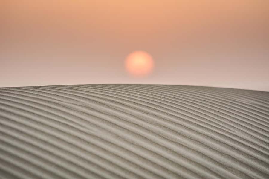 Exclusive Musical Evening at Desert Luxury Camp (NO CAMEL) - What the $59 price really covers