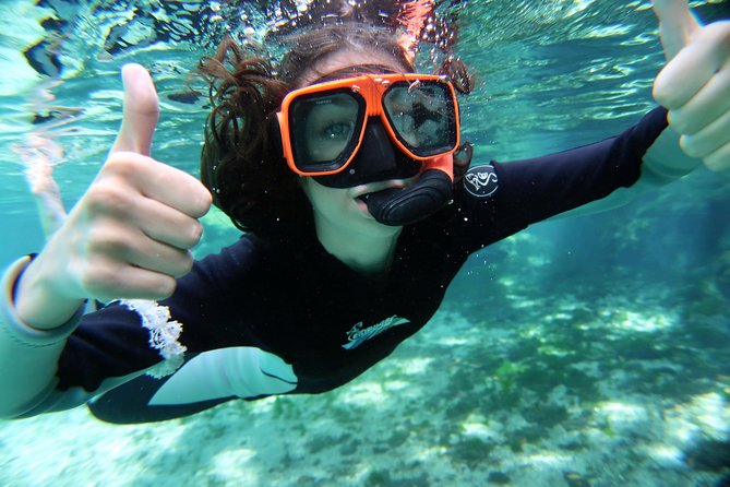 Exclusive Small Group VIP Heated Manatee Snorkel Tour - Is the $108.93 price good value?