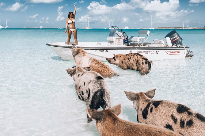 Exuma Elite Escape: Luxury Fly-In Pig Beach Adventure - 7 Stops - Key things to know before you go