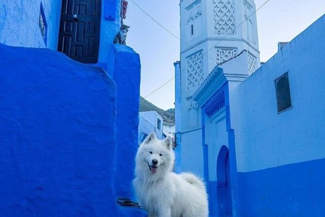 FES TO Chefchaouen Day Trip- luxury Private Tour - The Return to Fes and the Real Cost of Time