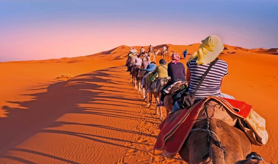 Fez: 2 Day-1 Night Luxury Sahara Desert Trip to Fez/Marakech - Ifrane and Azrou: Morocco before the dunes