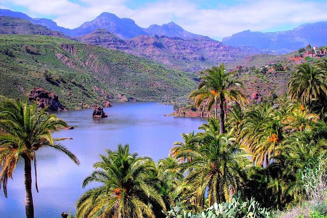 Firgas, Tejeda, Guayadeque - VIP Tour Gran Canaria - Tunte adds a short look at the island’s interior