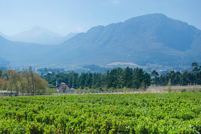 Franschhoek Winelands Luxury EBike Tour - The Huguenot monument adds needed context