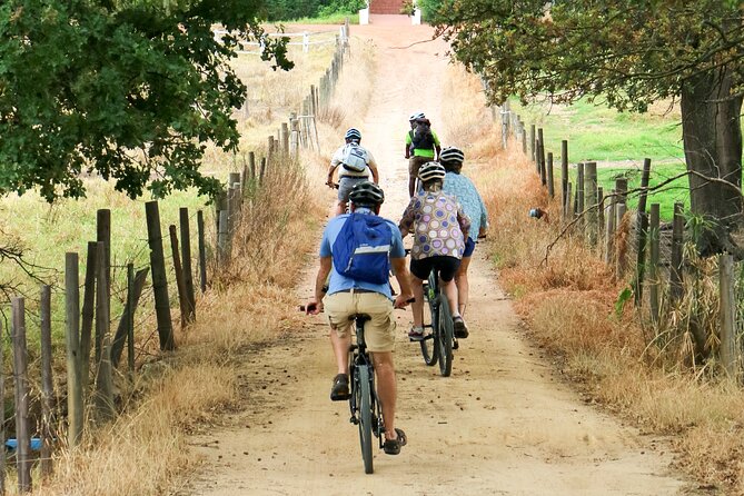 Franschhoek Winelands Luxury EBike Tour - Food pairings make the price easier to justify
