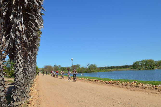 Franschhoek Winelands Luxury EBike Tour - Rickety Bridge begins the wine route
