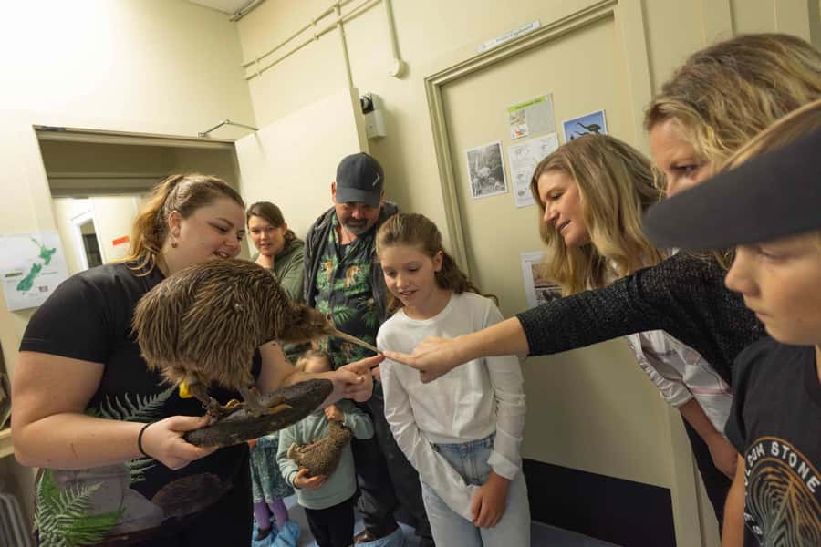 Franz Josef: Kiwi VIP Backstage Pass Tour -Booking Essential - Why this Franz Josef visit is worth your time