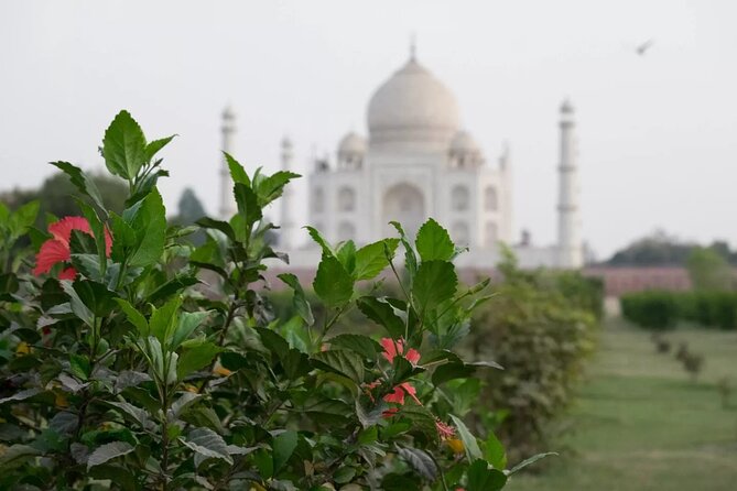 From Delhi : Luxury Taj Mahal Tour By Luxury Car- All Inclusive - Why this private Delhi to Agra trip works