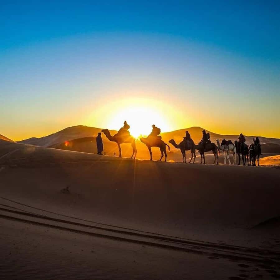 From Fes: 2-Day Luxury Desert Tour to Marrakech & Back Fez - Five things to know before you book