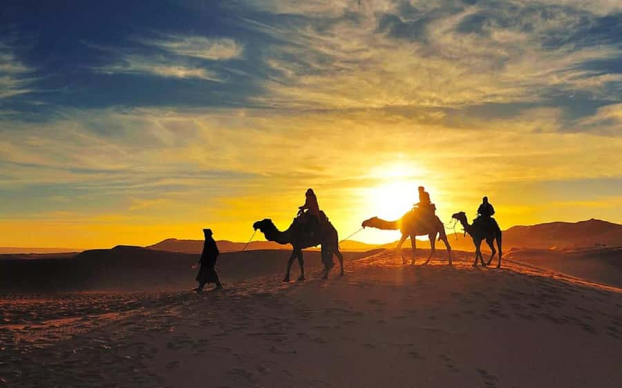 From Fes: 2-Day Luxury Desert Tour to Marrakech & Back Fez - FAQ