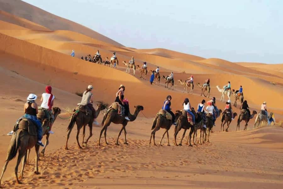 From Fes: 2-Day Luxury Desert Tour to Marrakech & Back Fez - Drivers make or break a two-day desert trip