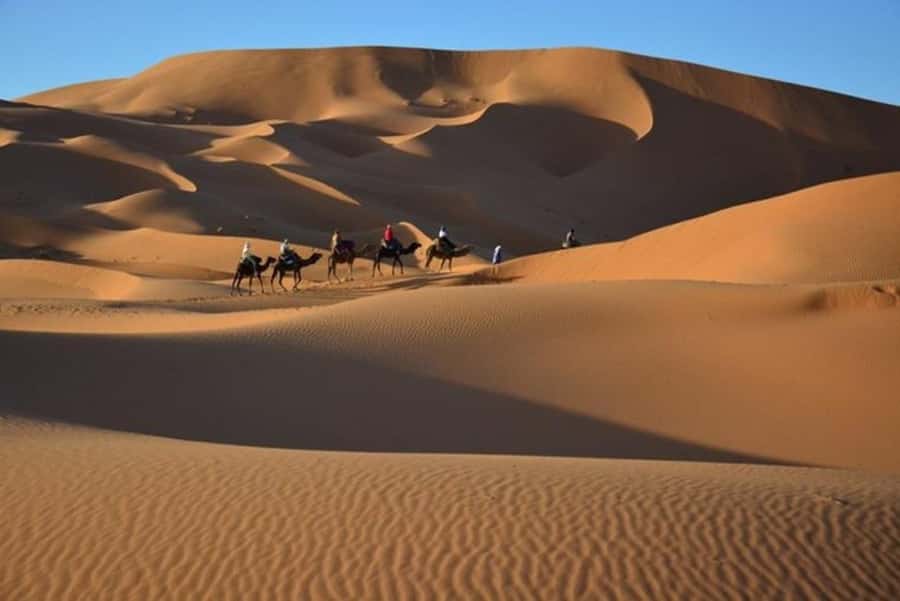 From Fes: 2-Day Luxury Desert Tour to Marrakech & Back Fez - Who should book this desert trip