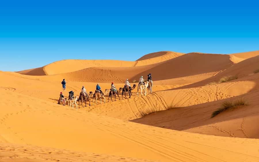 From Fes: 2-Day Merzouga Desert Trip(Luxury Tent & Dinner) - Cedar forest and Barbary monkeys