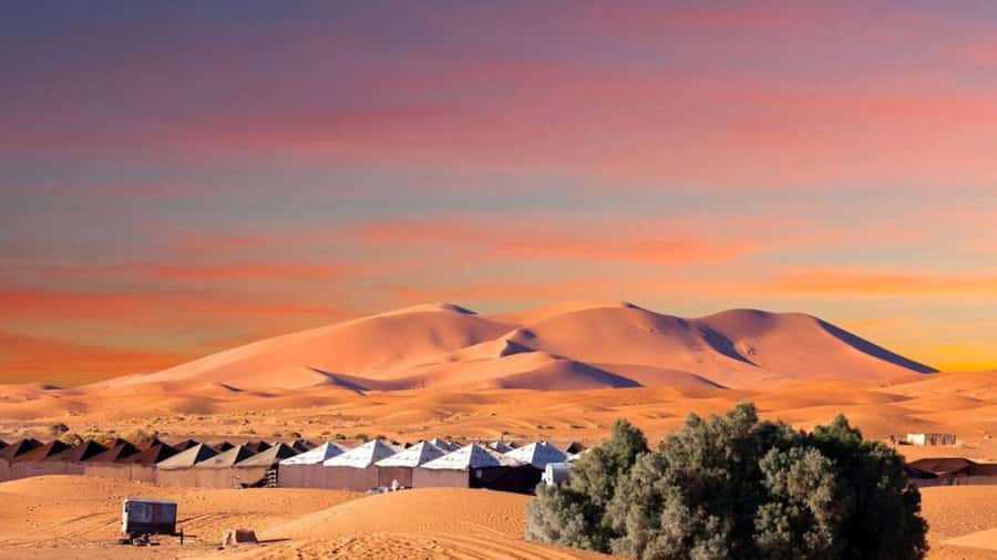 From Fes: 2-Day Merzouga Desert Trip w/Luxury Tent & Dinner - What the $142 price really buys you