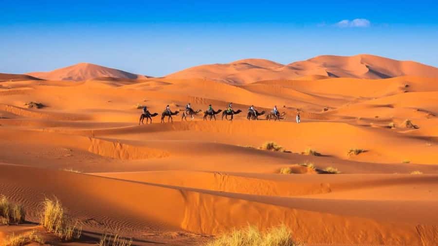 From Fes: 2-Day Merzouga Desert Trip w/Luxury Tent & Dinner - How good are the drivers and guides?