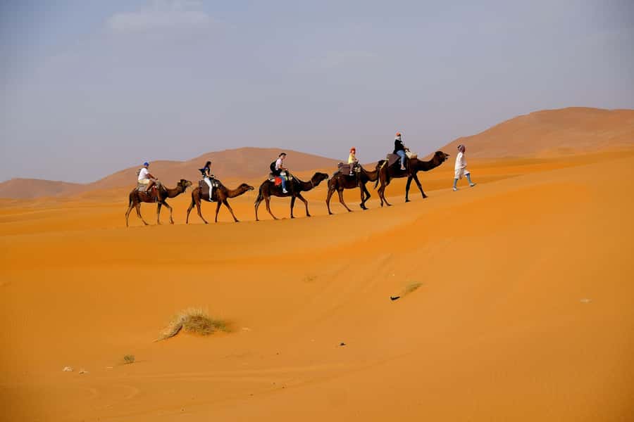 From Fes: 2-Day Merzouga Desert Trip w/Luxury Tent & Dinner - The parts that may disappoint you