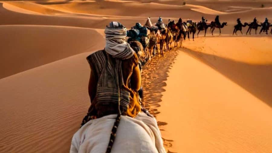 From Fes: 2-Day Merzouga Desert Trip w/Luxury Tent & Dinner - Leaving Fes for Ifrane and the cedar forest