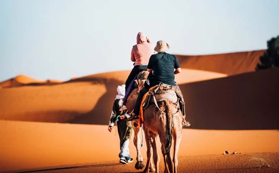From Fes: 3-Day Luxury Desert Tour to Marrakech via Merzouga - What the $272 price really buys you